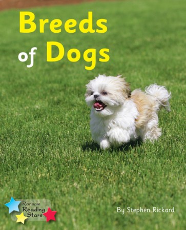 Breeds of Dogs 6-Pack