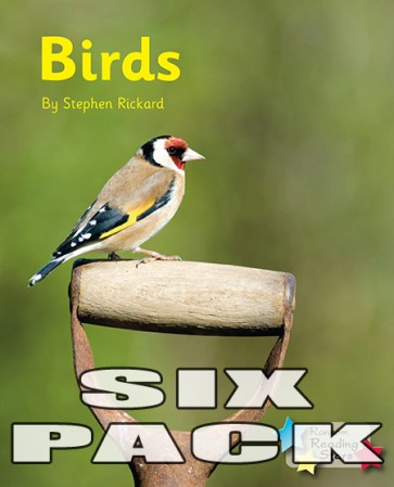 Birds 6-Pack
