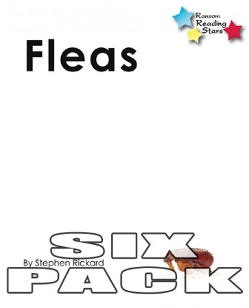 Fleas 6-Pack