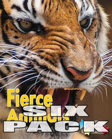 Fierce Animals 6-Pack