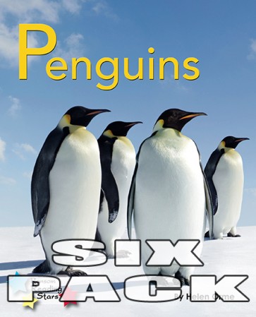 Penguins 6-pack