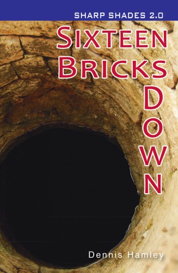 Sixteen Bricks Down  (Sharp Shades)