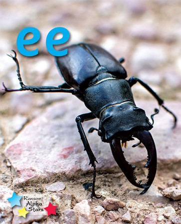 Alpha Stars ee 6-Pack