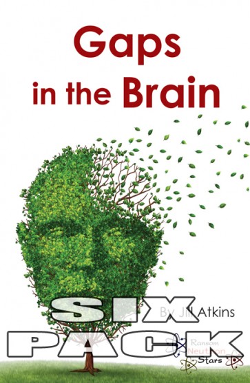Gaps in the Brain  6-Pack