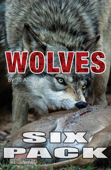Wolves  6-Pack