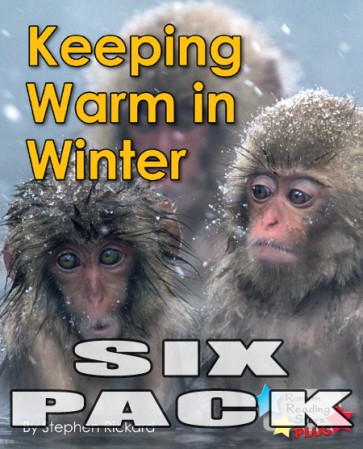 Keeping Warm in Winter  6-Pack