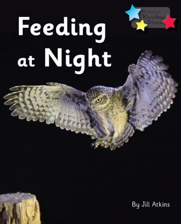 Feeding at Night 6-Pack
