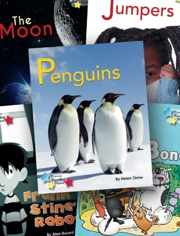 Primary Accelerated Reader Pack LY 4.0 - 4.9