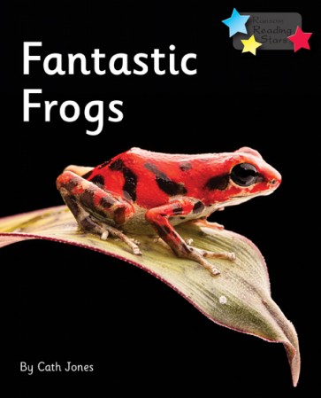 Fantastic Frogs 6-Pack