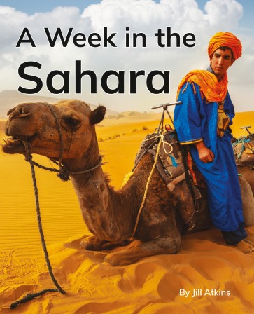 A Week in the Sahara 6-Pack