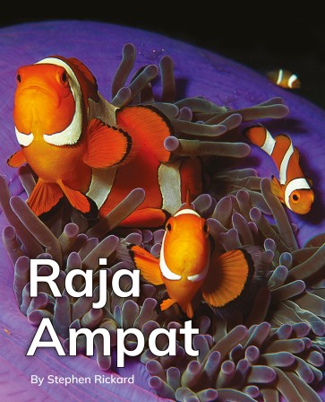 Raja Ampat 6-Pack