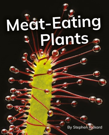 Meat-Eating Plants 6-Pack