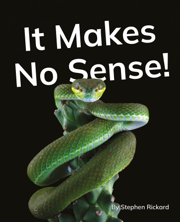 It Makes No Sense!