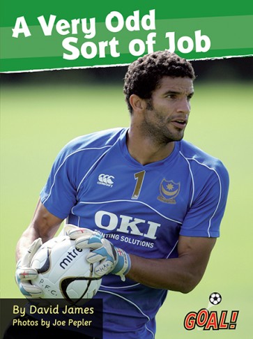 A Very Odd Sort of Job