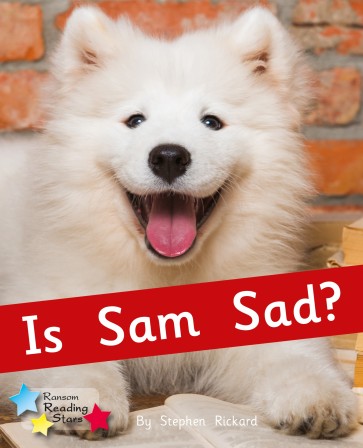 Is Sam Sad?