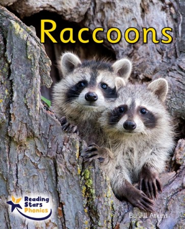Raccoons 6-Pack