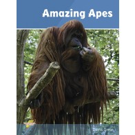 Amazing Apes