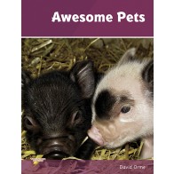 Awesome Pets