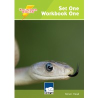 Thunderbolts Set 1 Workbook 1