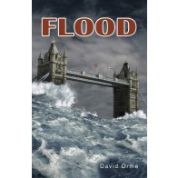Flood