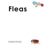 Fleas