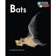 Bats