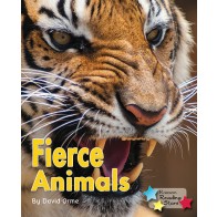 Fierce Animals