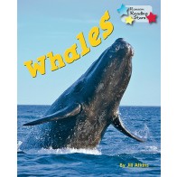Whales