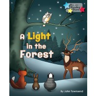 A Light in the Forest