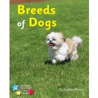 Breeds of Dogs 6-Pack