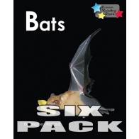 Bats 6-Pack