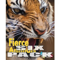 Fierce Animals 6-Pack