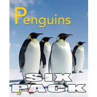 Penguins 6-pack