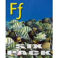 Alpha Stars Ff 6-Pack