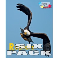 Raptors 6-Pack