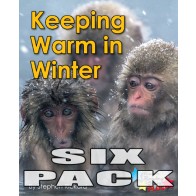 Keeping Warm in Winter  6-Pack