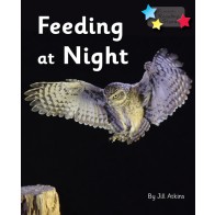 Feeding at Night 6-Pack