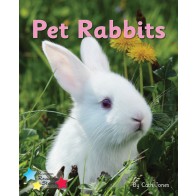 Pet Rabbits