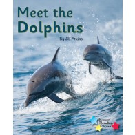 Meet the Dolphins 6-Pack