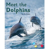 Meet the Dolphins 6-Pack
