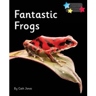 Fantastic Frogs 6-Pack