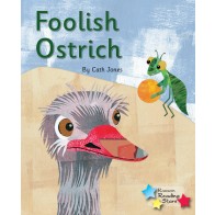 Foolish Ostrich 6-Pack