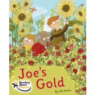 Joe's Gold 6-Pack