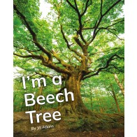 I'm a Beech Tree
