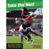 Into the Net!