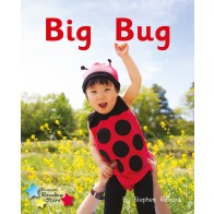 Big Bug 6-Pack