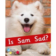 Is Sam Sad? 6-Pack