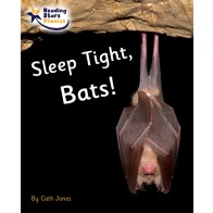 Sleep Tight, Bats! 6-Pack