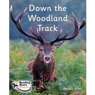 Down the Woodland Track 6-Pack