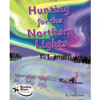 Hunting for the Northern Lights